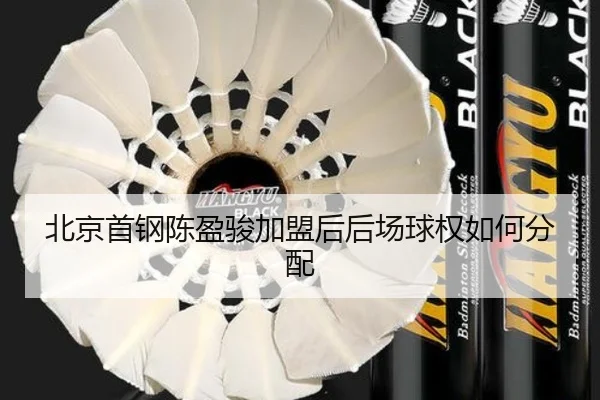 北京首钢陈盈骏加盟后后场球权如何分配